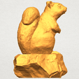 A05.png Squirrel 01