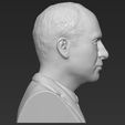 9.jpg Prince William bust ready for full color 3D printing