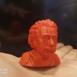 Albert Einstein Büste