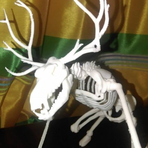 Capture d’écran 2017-03-28 à 15.08.43.png Unknown Creatures N° 1 - Wendigo Skeleton