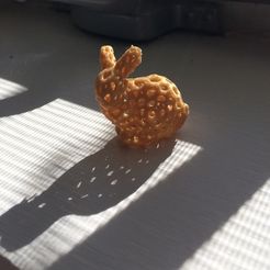 Stanford Bunny - Voronoi Style