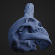 SkullCandle_5.png STL file Skull Candle・3D printing design to download