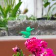 Birdgarden (3).jpeg Little Bird