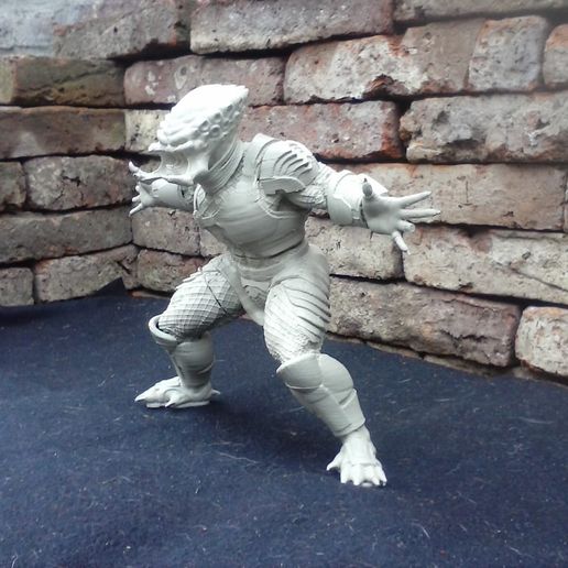 WhatsApp Image 2019-05-21 at 14.53.28.jpeg Predator - Raubtier 1987