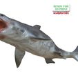 Megalodon-pose-1-11.jpg Ancient Ocean Creature Megalodon 3D sculpting printable model