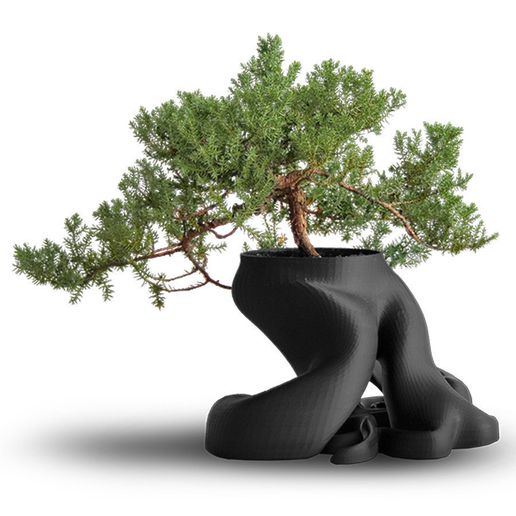 C.jpg Bonsai Planter