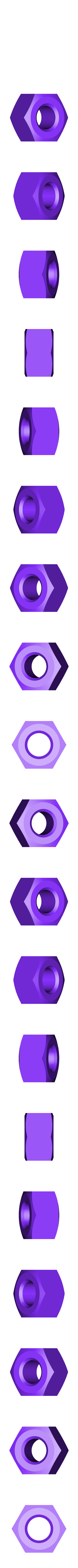 Nut_M6.stl Worm Gear