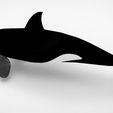 C.jpg orca