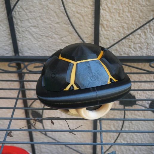 Контейнер из черепашьего панциря