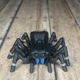 IMG_3024.jpg STL file Articulated Jumping Spider _ Print-In-Place Jumping Spider・3D printing design to download