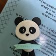 IMG_3250.jpeg Panda Cookie Cutter