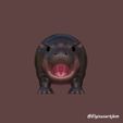 angry-front.jpg BABY HIPPO, MOO DENG