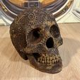 IMG_0090.jpeg Cráneo de engranajes mecánicos
