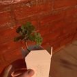 IMG_20200812_164642.jpg Fichier 3D Boîte de plats à emporter chinois, PLANTER succulent・Design à télécharger et à imprimer en 3D