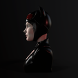 Catwoman (3).png Bust - Catwoman