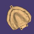 Clipboard-2025-05-07-23-53-33.jpg TOTAL REMOVABLE DENTURE upper + FLEXI PARTIAL DENTURE lower ( total 11 stl files)