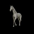 25.jpg Thoroughbred Horse model 3D print model