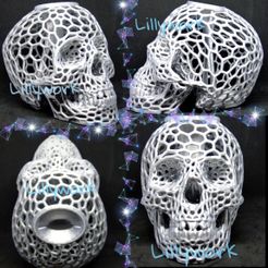 PicsArt_08-02-03.27.19.jpg Voronoi Skull bank with lid