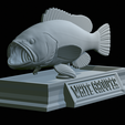 White-grouper-open-mouth-statue-41.png fish white grouper / Epinephelus aeneus open mouth statue detailed texture for 3d printing