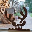 20201217_0931251.jpg Reindeer window decoration