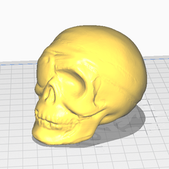 CE3PRO_Skull-Ultimaker-Cura-17_10_2022-15_59_10.png Free STL file Pirate Skull Bandanna・3D print object to download