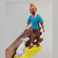 Tintin and Snowy, pataball