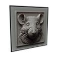 a_162.jpg Rat Animal Relief
