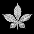232324332.jpg chestnut leaf