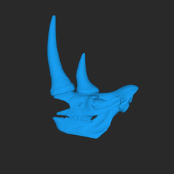 Rhino-Skull.png Rhino Skull - 3D Scanned by Revopoint RANGE 2