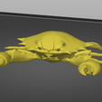 Mudcrab-Toy-image-1.png Mudcrab Articulated Toy