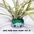 cute-moss-rock-plant-pot-01e.jpg Cute moss rock plant pot 01