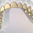 27.jpg 3D Dental Jaws Replica with Detachable Teeth
