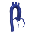 3.png 3D Model of Aorta and Coronary Arteries - 6pack