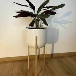 IMG_8262.jpg Wooden legs planter