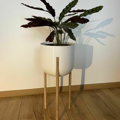 IMG_8262.jpg STL file Wooden legs planter・3D printing idea to download