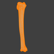 4.png 3D Model of Tibia Bone
