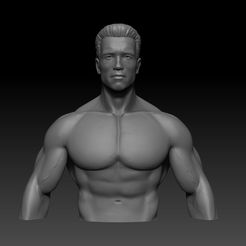 ZBrush Document.jpg Download free STL file T-800 • Design to 3D print, Toshi_TNE