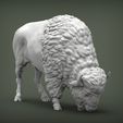 bison4.jpg Bison 3D print model