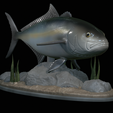Greater-Amberjack-statue-1-6.png fish greater amberjack / Seriola dumerili statue underwater detailed texture for 3d printing