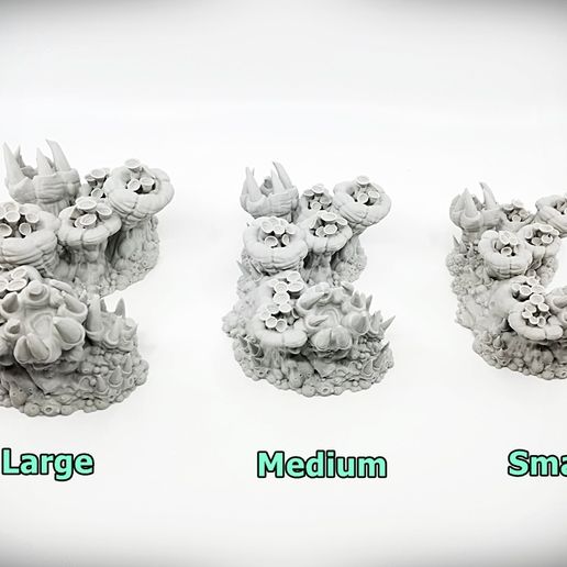 Plague-Cluster-E-Plaguelands-Size-Compare-Labeled-Vignette.jpg Plague Cluster E