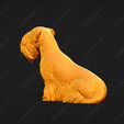 3387-Cesky_Terrier_Pose_04.jpg Cesky Terrier Dog 3D Print Model Pose 04