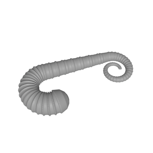 Heteromorph Hook Ammonite - Ancyloceras Style Fossil