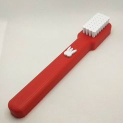 P30829-165531~2.jpg Toothbrush mezuzah