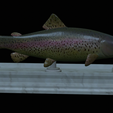 Trout-statue-11.png fish rainbow trout / Oncorhynchus mykiss statue detailed texture for 3d printing
