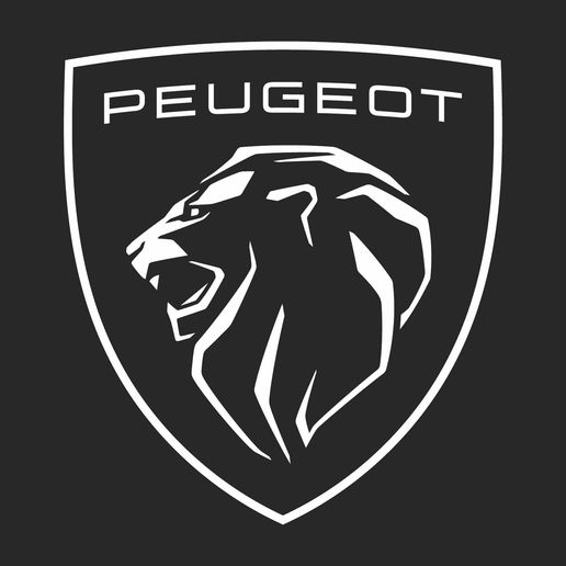 Sin-título-1_ACD_0.jpg Peugeot key ring