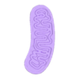 Animal Cell Educaiton Model Mitochondria.stl Animal Cell Educational Model with Removable Organelles MineeForm FDM 3D Print STL File