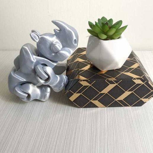 WhatsApp-Image-2024-02-15-at-8.31.20-AM-1.jpeg Flexi Rhino Runner