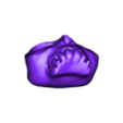 pupil tdm.stl 3ᵉ different eyes and pupils free price