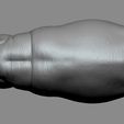 02.jpg Hippo