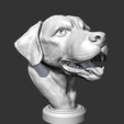 10.png Labrador Retrieve Head AM26 3D print model